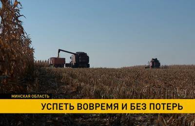 Александр Лукашенко - Аграрии вышли на финишную прямую по уборке кукурузы - ont.by - Белоруссия
