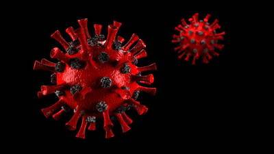 Ученые выяснили новый факт о штамме коронавируса Дельта и мира - cursorinfo.co.il