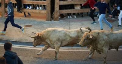 В Испании во время забега быков погиб человек - dsnews.ua - Испания