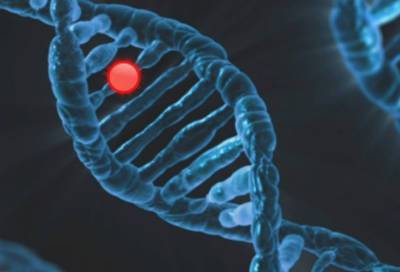 Биологи нашли ген, который блокирует смертельные вирусы - online47.ru - Нью-Йорк - штат Юта