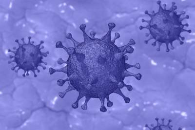 Ученые из США рассказали о новой мутации коронавируса - abnews.ru - Сша