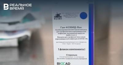 Михаил Мурашко - Мурашко заявил, что у ВОЗ были вопросы к досье по «Спутнику V», а не к вакцине - realnoevremya.ru - Россия