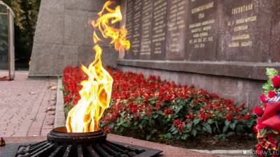 Бомжа, запалившего венок на Вечном огне в Миассе, обвинили в реабилитации нацизма - newdaynews.ru