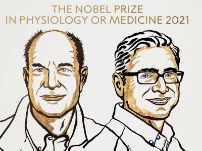 В Стокгольме объявили лауреатов Нобелевской премии по физиологии и медицине - gordonua.com - Украина - Стокгольм