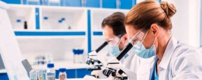 В РХТУ разработана новая вакцина от лихорадки Рифт-Валли - runews24.ru