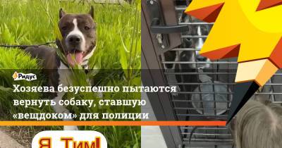 Хозяева безуспешно пытаются вернуть собаку, ставшую «вещдоком» для полиции - ridus.ru