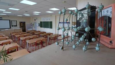 Число школьных классов на удалёнке в Петербурге снизилось на треть - dp.ru - Санкт-Петербург