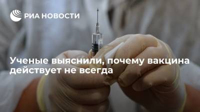 Ученые выяснили, почему вакцина действует не всегда - ria.ru - Москва - Голландия