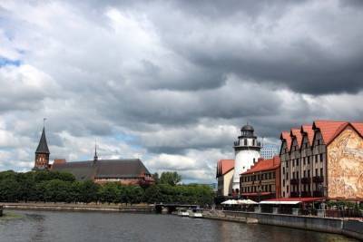 В Калининградской области вводят QR-коды для посещения досуговых мероприятий - mk.ru - Калининградская обл.