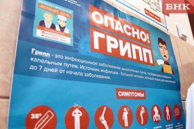В Коми планируют привить от гриппа 500 тысяч человек - bnkomi.ru - республика Коми