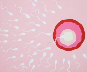 Эмма Дункан - Коронавирус «снижает качество и количество сперматозоидов» — профессор - goodnews.ua - Лондон