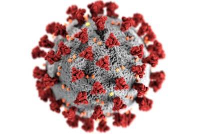 ВОЗ: число случаев коронавируса в мире приближается к 235 млн - mk.ru