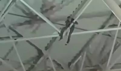 Снятый с перекрытий крыши аэропорта Внуково кубинец госпитализирован с травмой ноги - newizv.ru - Москва - Украина - Куба