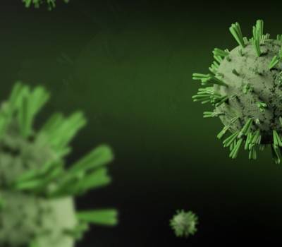 В Японии обнаружен вызывающий острую лихорадку вирус - actualnews.org - Япония