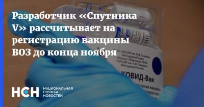 Владимир Гущин - Разработчик «Спутника V» рассчитывает на регистрацию вакцины ВОЗ до конца ноября - nsn.fm - Россия