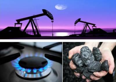 В мире повысился спрос на российский газ и уголь в преддверье саммита ООН по климату - argumenti.ru