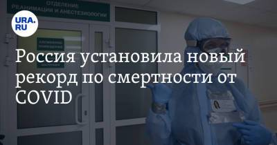 Россия установила новый рекорд по смертности от COVID - ura.news - Россия