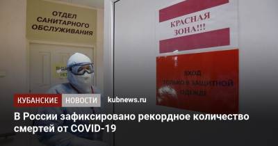 В России зафиксировано рекордное количество смертей от COVID-19 - kubnews.ru - Россия