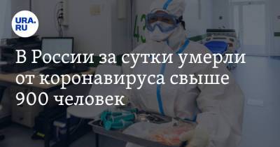 В России за сутки умерли от коронавируса свыше 900 человек - ura.news - Россия - Свердловская обл.
