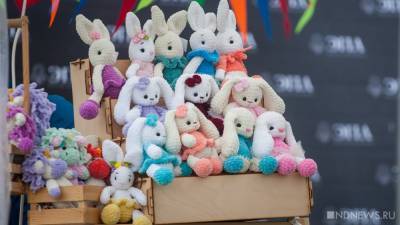 В Кургане 18-летний подросток за несколько минут украл из магазина почти 40 мягких игрушек - newdaynews.ru - Курганская обл.