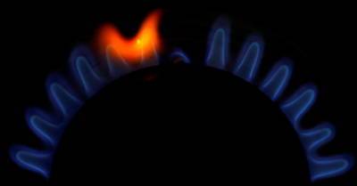 Пособия и совместные закупки природного газа. Европарламент ищет решение, как бороться с ростом цен на энергоресурсы - rus.delfi.lv - Латвия