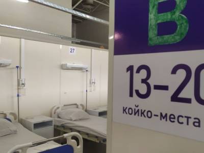 В «Ленэкспо» еще один павильон возобновляет прием коронавирусных больных - rosbalt.ru - Санкт-Петербург