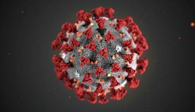 В мире коронавирусом заразились уже 237 млн человек - unn.com.ua - Украина - Сша - Индия - Киев - Бразилия