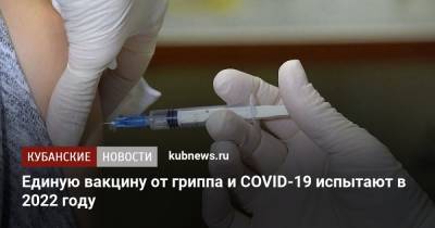 Александр Гинцбург - Единую вакцину от гриппа и COVID-19 испытают в 2022 году - kubnews.ru - Россия