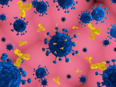 Уровни антител снижаются после двух доз вакцины Pfizer - исследование и мира - cursorinfo.co.il - Англия - Израиль - Шиб