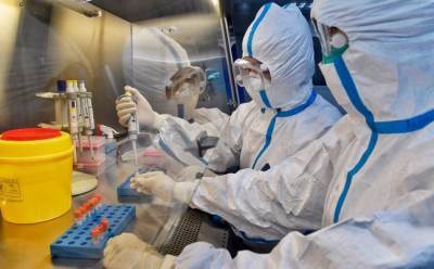 Ученые США и Китая планировали создать новые коронавирусы до пандемии Covid-19 - eadaily.com - Сша - Китай - Сингапур - штат Северная Каролина