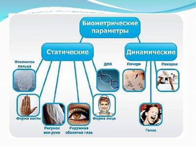 Зачем и кому нужно использование биометрии - argumenti.ru - Россия