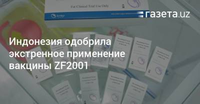 Индонезия одобрила экстренное применение вакцины ZF2001 - gazeta.uz - Узбекистан - Индонезия