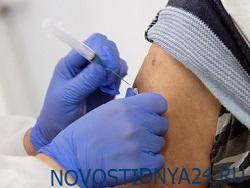 В Пензенской области ввели обязательную вакцинацию от COVID-19 - novostidnya24.ru - Пензенская обл.