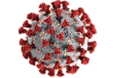 ВОЗ: число случаев коронавируса в мире превысило 236 млн - mk.ru