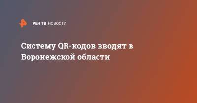 Систему QR-кодов вводят в Воронежской области - ren.tv - Воронежская обл.