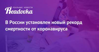 В России установлен новый рекорд смертности от коронавируса - readovka.news - Россия
