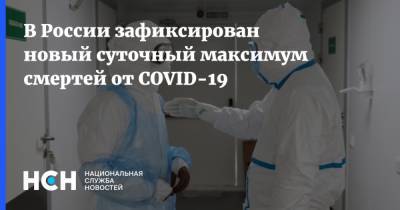 В России зафиксирован новый суточный максимум смертей от COVID-19 - nsn.fm - Россия - Санкт-Петербург - Москва - Московская обл.