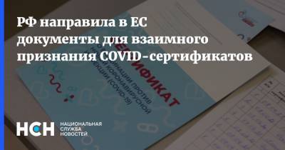 РФ направила в ЕС документы для взаимного признания COVID-сертификатов - nsn.fm - Россия - Евросоюз