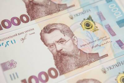 Рада увеличила бюджет на 40 миллиардов: на что пойдут - epravda.com.ua - Украина