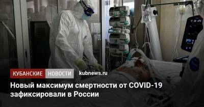 Новый максимум смертности от COVID-19 зафиксировали в России - kubnews.ru - Россия