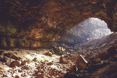 Французские ученые усомнились в теории о происхождении коронавируса из пещеры Модзян - actualnews.org - Франция - Китай
