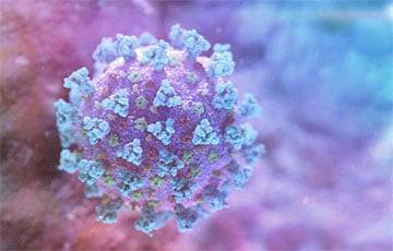 Ученые выяснили, что лучше защищает от коронавируса — вакцина или иммунитет - charter97.org - Белоруссия