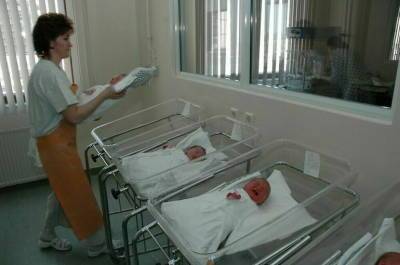 Новорожденных могут разрешить регистрировать по месту жительства родителей - pnp.ru - Архангельск