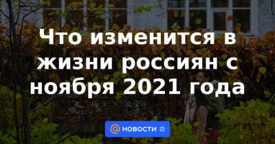 Что изменится в жизни россиян с ноября 2021 года - news.mail.ru - Россия