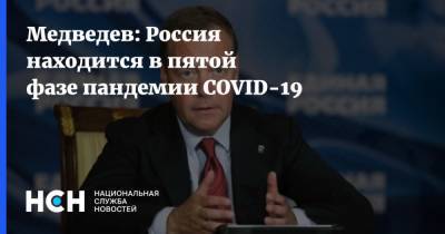 Дмитрий Медведев - Медведев: Россия находится в пятой фазе пандемии COVID-19 - nsn.fm - Россия