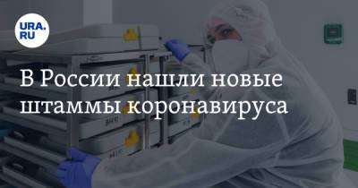 В России нашли новые штаммы коронавируса - ura.news - Россия