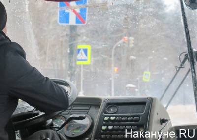 В Челябинске более 100 водителей маршруток поставили прививку от коронавируса - nakanune.ru - Челябинск