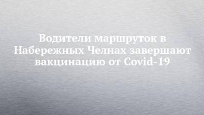 Водители маршруток в Набережных Челнах завершают вакцинацию от Covid-19 - chelny-izvest.ru - Набережные Челны