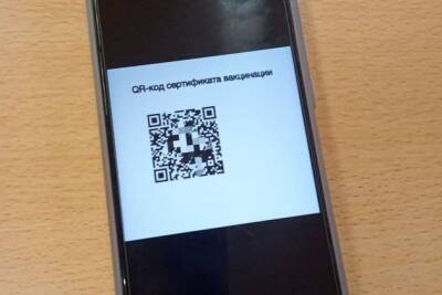 Власти обсуждают введение QR-кодов в самолётах и поездах в России - chita.ru - Россия