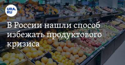 Дмитрий Давыдов - В России нашли способ избежать продуктового кризиса - ura.news - Россия